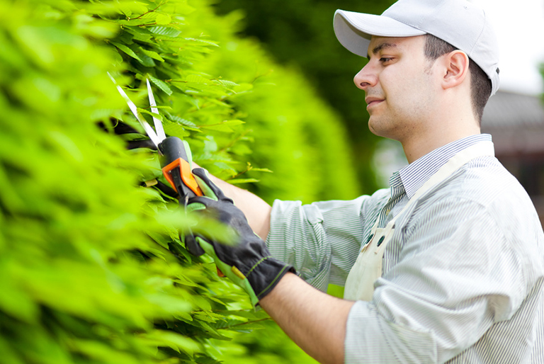 Gardener at work